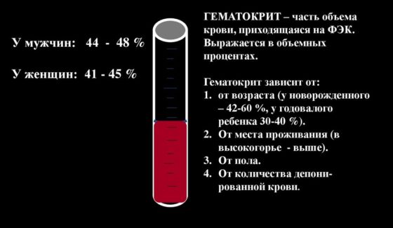 гематокрит