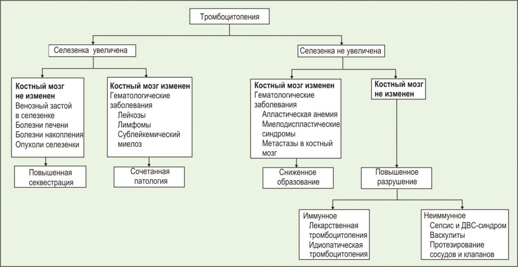 Тромбоцитопения: причины, классификация, симптомы, лечение