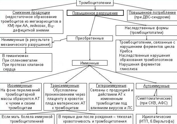 Тромбоцитопения: причины, классификация, симптомы, лечение